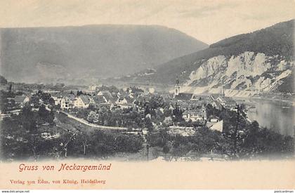 Neckargemünd (BW) Gruss von Neckargemünd Totalansicht Verlag von Edm. von König, Heidelberg