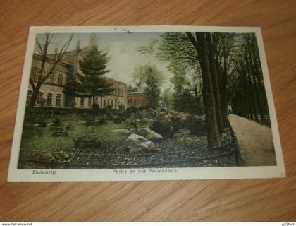 AK  -  Zielenzig / Sulęcin , 1925 , Lebus , Ansichtskarte , Postkarte !!!