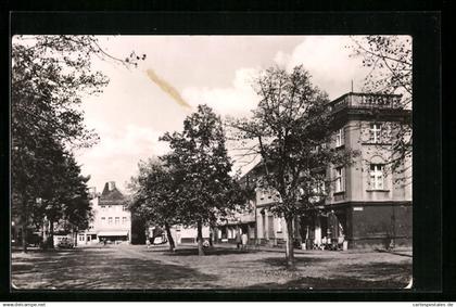 AK Peitz /Niederlausitz, Hauptstrasse