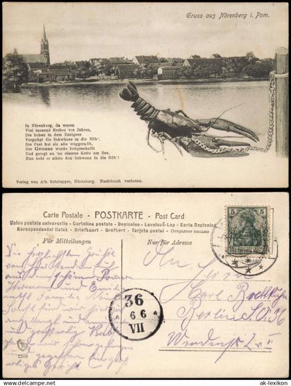 Postcard Nörenberg (Pommern) Ińsko Enzing-See, Krebs Pommern 1913