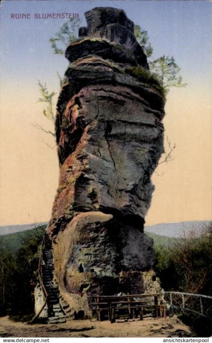 CPA Schönau in der Pfalz, Burg Blumenstein, Ruine