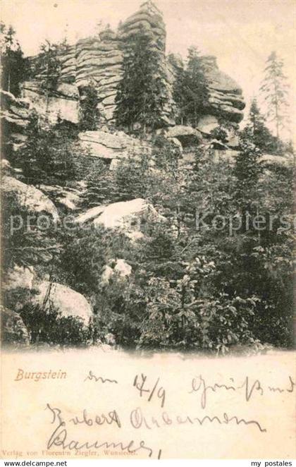 42684616 Burgstein Plauen Felsengarten Burgstein Plauen