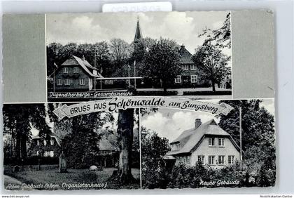 50849592 - Schoenwalde am Bungsberg