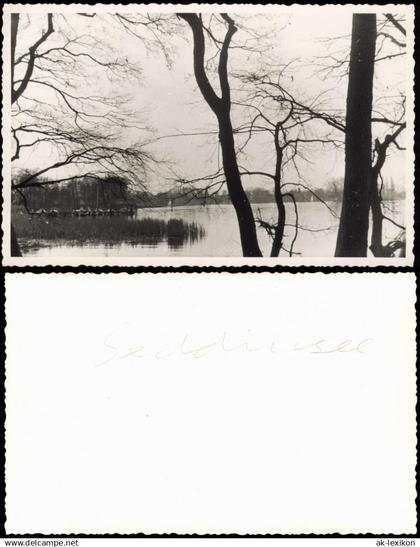 Foto Schmöckwitz-Berlin Partie am Seddinsee 1950 Privatfoto Foto