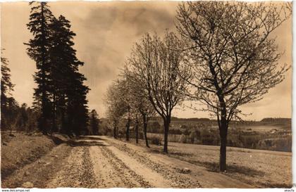 CPA AK Schomberg - Schomberg b. Wildbad - Road Scene GERMANY (910405)