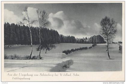 Schömberg, Schwarzw., Frühlingsahnung um 1930