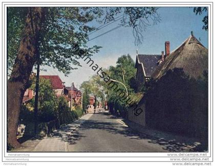 24217 Schönberg - Strassenansicht - AK-Grossformat