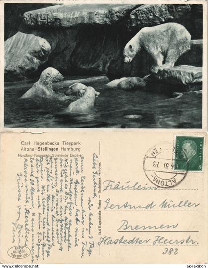 Stellingen-Hamburg Tierpark Hagenbeck Nordland Spielende Eisbären Eisbär 1930