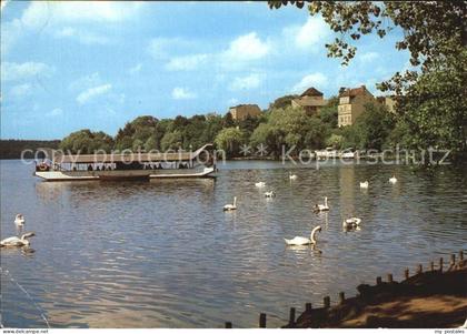 72423992 Strausberg Brandenburg Stausee Schwaene Strausberg