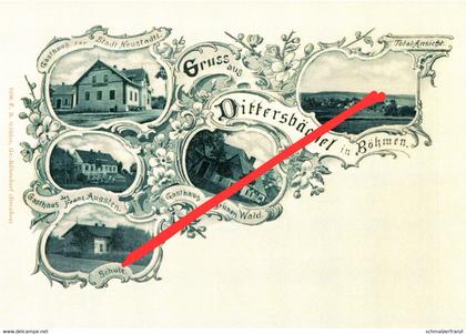 REPRO AK Dittersbächel Detrichovec Gasthof Baude a Heinersdorf Wigandsthal Volkersdorf Neustadt Tafelfichte Isergebirge