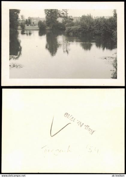 Foto Tiergarten-Berlin Tiergarten, am Wasser 1954 Foto