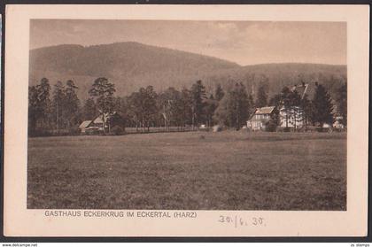 Eckertal (Harz) Gasthaus Eckerkrug Ak um 1930