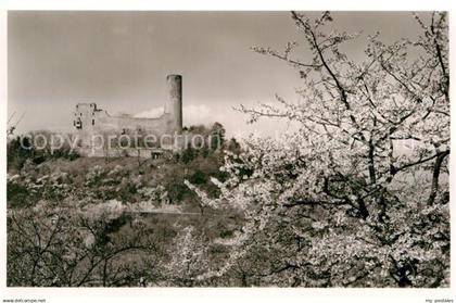 42910657 Weinheim Bergstrasse Burgruine Windeck