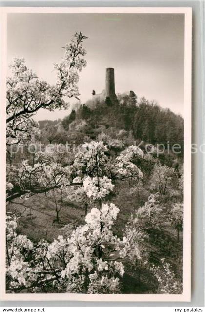 42911793 Weinheim Bergstrasse Burgruine Windeck