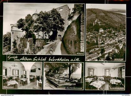 73895793 Wertheim Main Schlossruine Wertheim Altane Altstadt Rittersaal Gartente