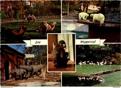 Wuppertal - Zoo