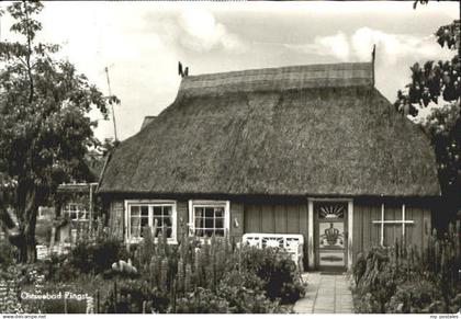 70087476 Zingst Ostseebad Zingst  x 1976