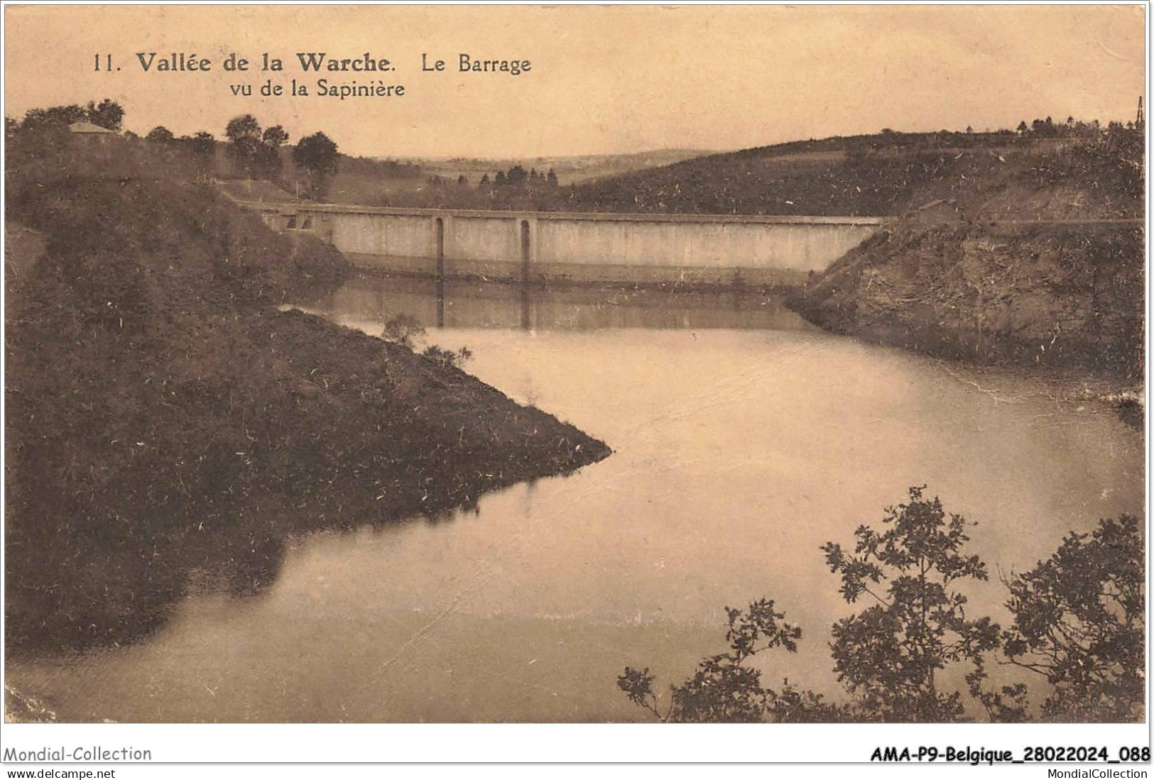 AMAP9-0868-BELGIQUE - WARCHE - vallée de la warche - le barrage vu de la sapinière