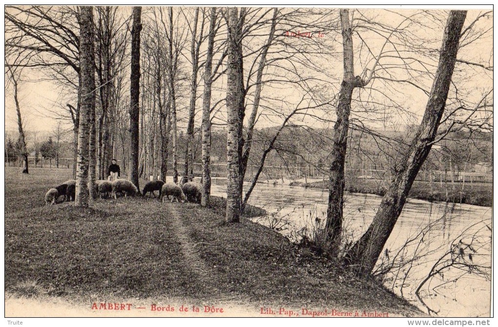 AMBERT BORDS DE LA DORE BERGERE AVEC SES MOUTONS