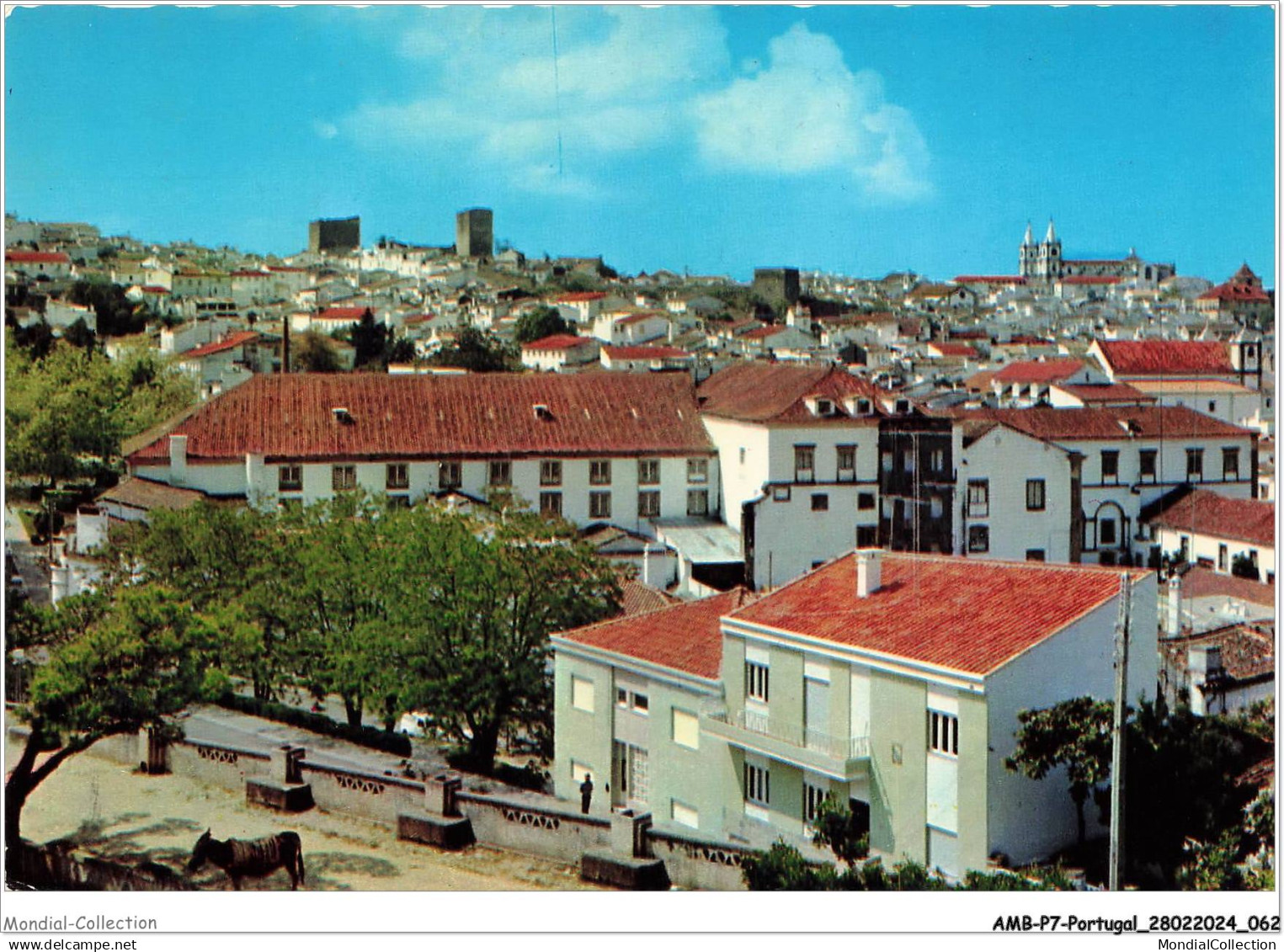 AMBP7-0600-PORTUGAL - PORTALEGRE - vista da cidade e torres da sé