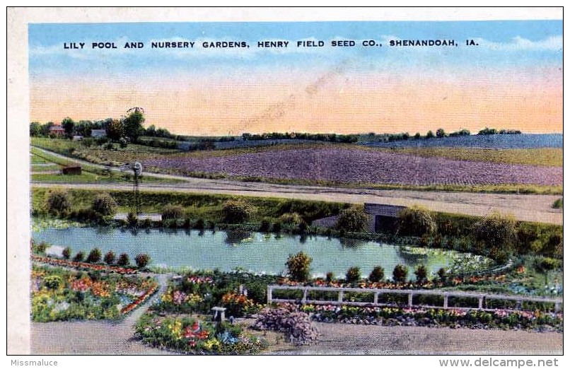 AMÉRIQUE ETATS UNIS IA IOWA LILY POOL AND NURSERY GARDENS HENRY FIELD SEED CO SHENANDOAH