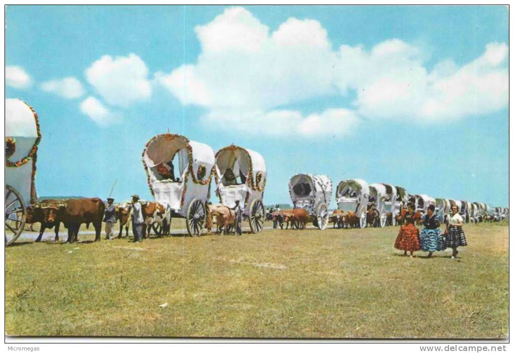 ANDALUCIA - Romeria del Rocio