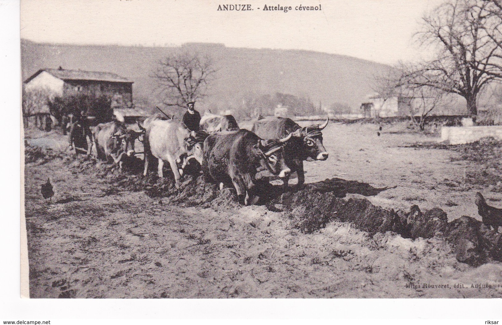 ANDUZE(ATTELAGE)