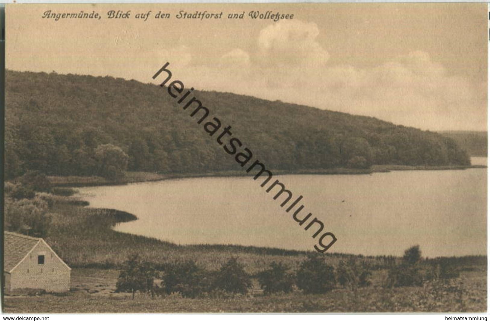 Angermünde - Stadtforst - Wolletzsee - Verlag C. Windolff Angermünde