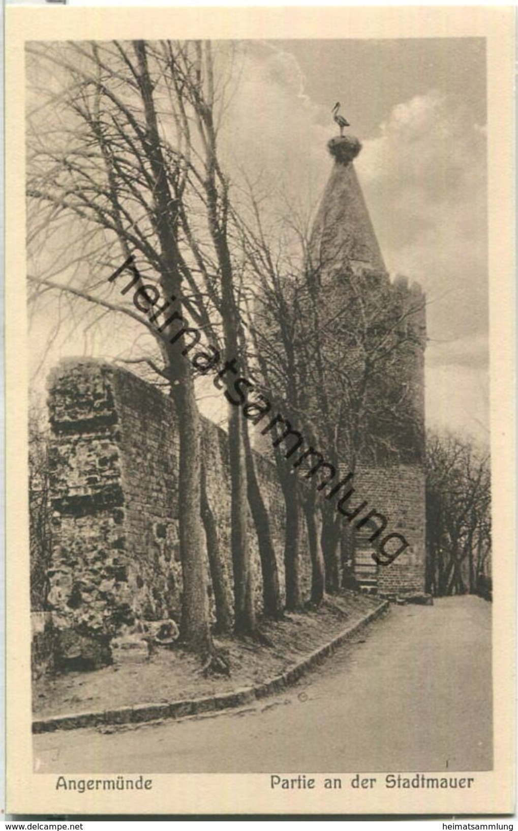 Angermünde - Stadtmauer - Verlag J. Goldiner Berlin