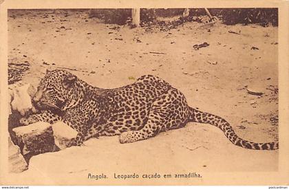 Angola - Leopard trapped - Publ. Carvalho & Freitas 644