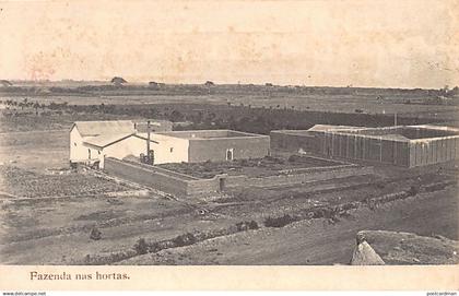 Angola - MOÇÂMEDES - Farm in the vegetable gardens - Publ. unknown