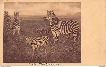 Angola - Zebras - Publ. Carvalho & Freitas 646