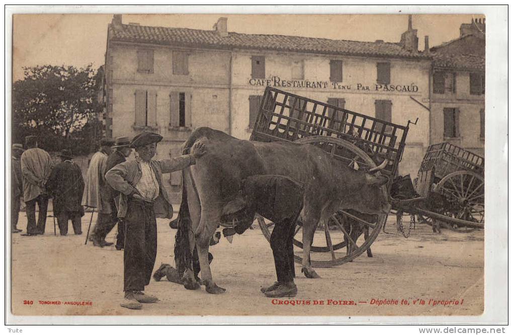 ANGOULEME CROQUIS DE FOIRE