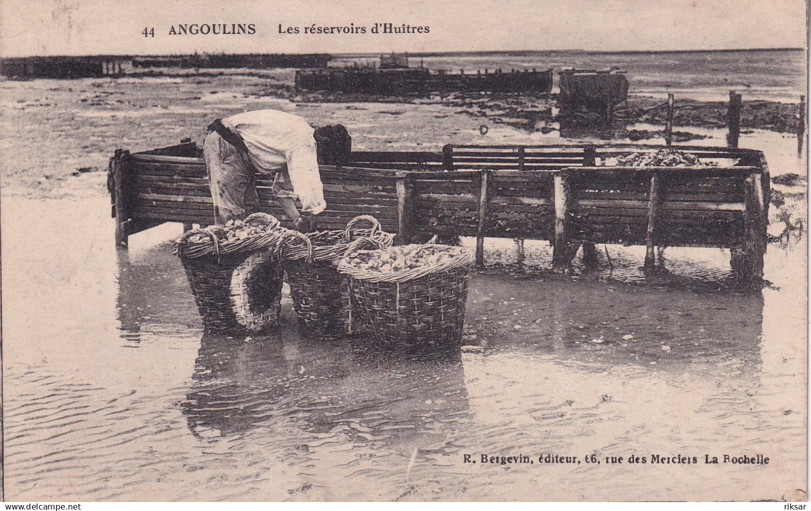 ANGOULINS(PARC AUX HUITRES)