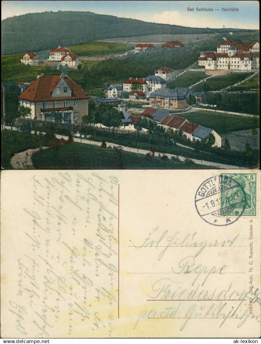 Ansichtskarte Bad Gottleuba-Bad Gottleuba-Berggießhübel Stadtpartie 1913