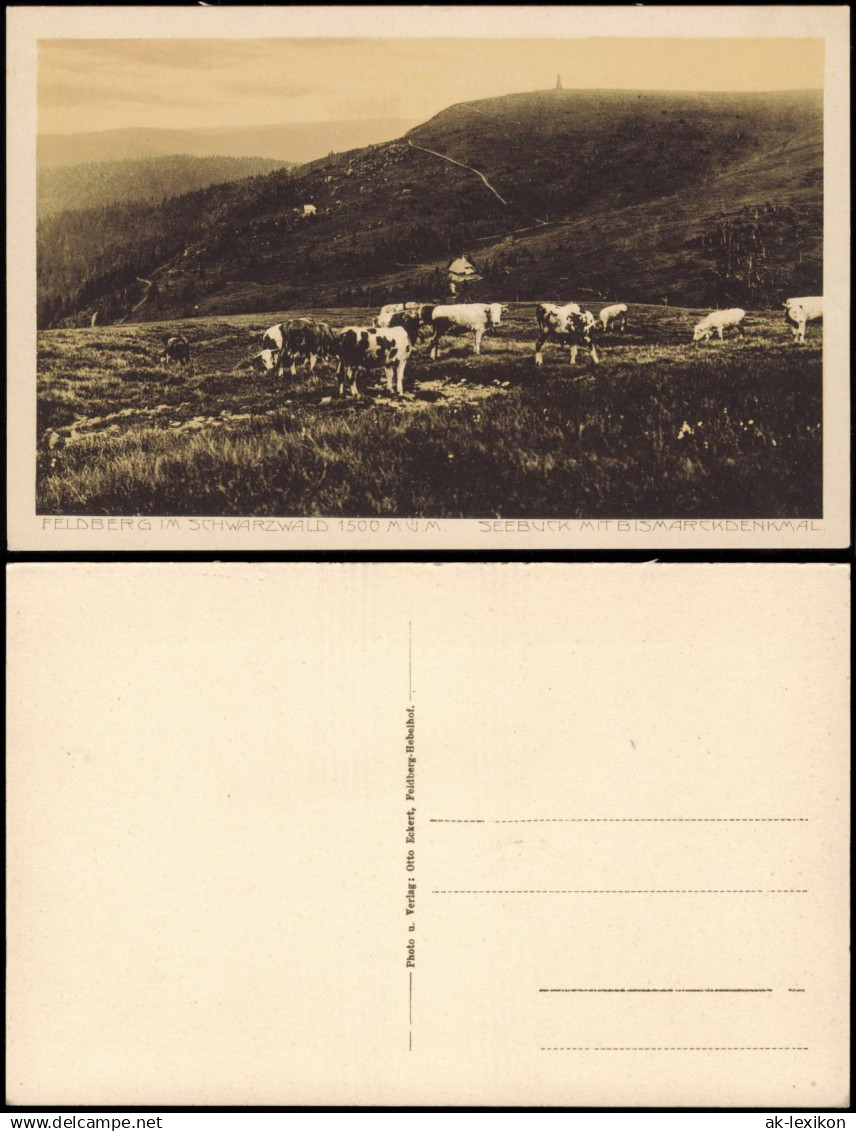 Ansichtskarte Feldberg (Schwarzwald) Kuhherde - Feldberg 1923