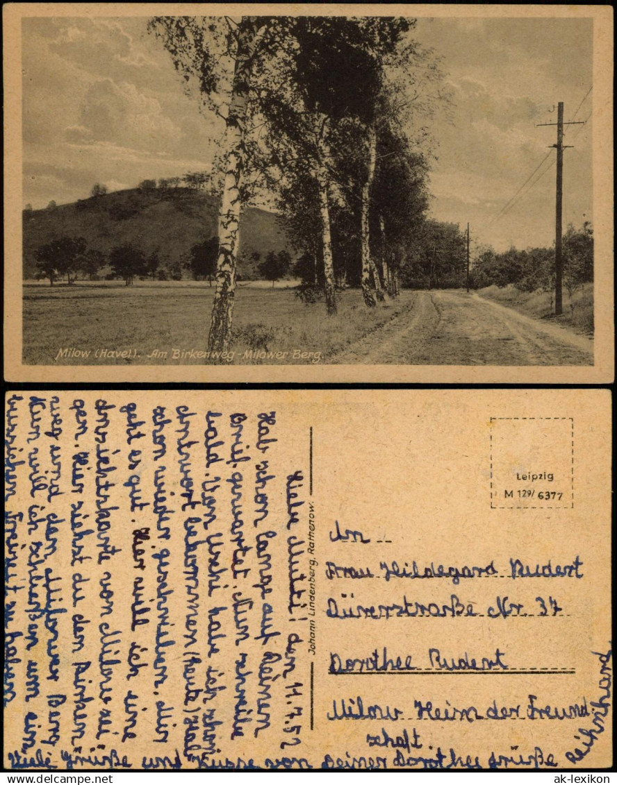 Ansichtskarte Milow-Milower Land Am Birkenweg Milower Berg 1952