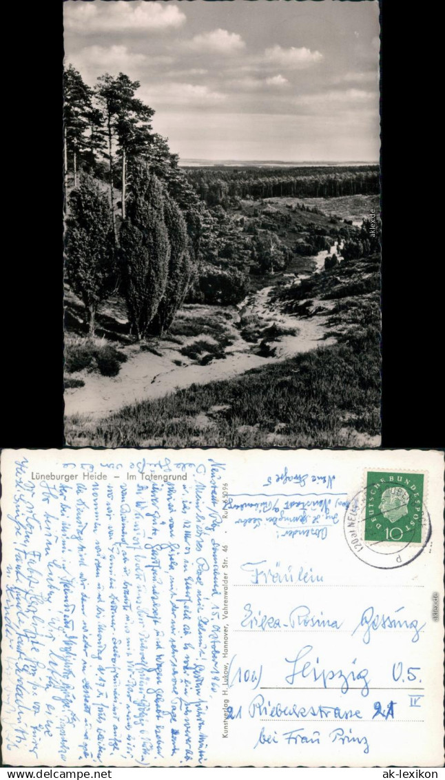 Ansichtskarte _Niedersachsen allgemein Lüneburger Heide - im Totengrund 1960