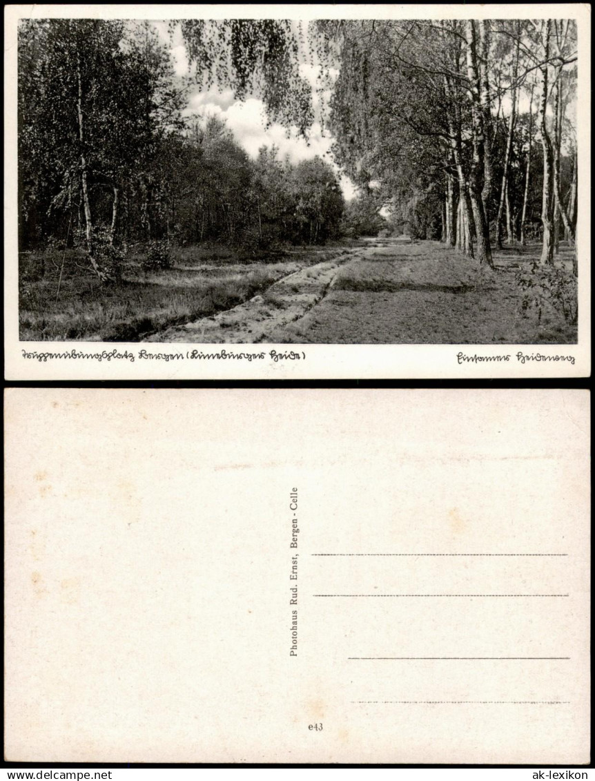 Ansichtskarte .Niedersachsen Lüneburger Heide Wald Partie 1940