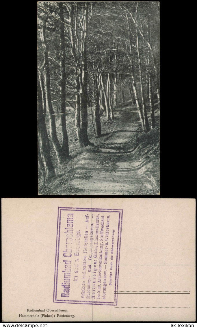 Ansichtskarte Oberschlema-Bad Schlema Hammerholz Pinkes Poetenweg. 1913