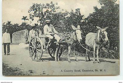 DOMINIQUE - Dominica - A Country Road