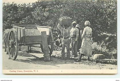 DOMINIQUE - Dominica - Carting Limes