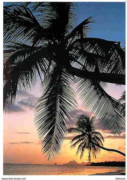 Antilles - CPM - Voir Scans Recto-Verso