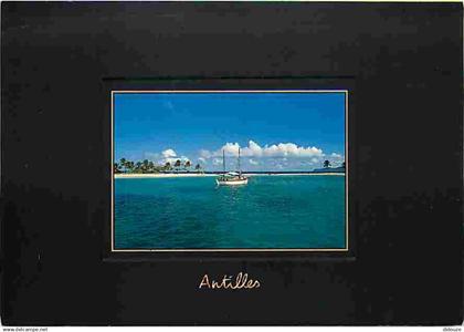 Antilles - Mouillage aux Antilles - CPM - Voir Scans Recto-Verso