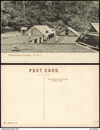 Postcard Trinidad Drying-Cocoa, Trinidad B. W. I. Karibik Caribbean 1912