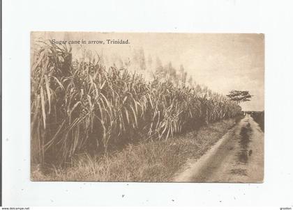 TRINIDAD (TRINITE ET TOBAGO) SUGAR CANE IN ARROW