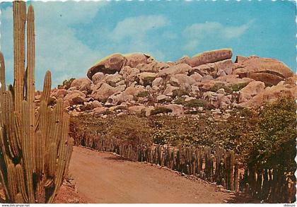 Antilles - Antilles Neérlandaises - Netherlands Antilles - Rock formation at Ajo - CPM - Voir Scans Recto-Verso