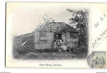 CPA Barbades Negro Shanty