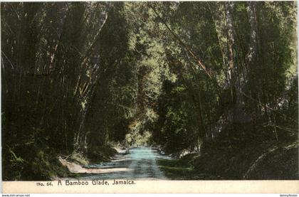 Jamaica - A Bamboo Glade