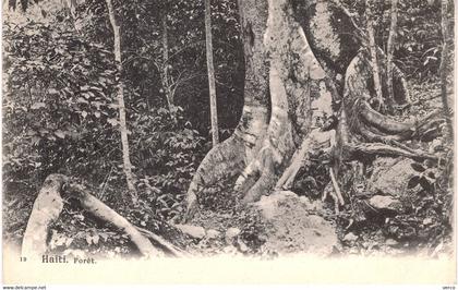 Carte POSTALE  Ancienne  de  HAITI - Forêt